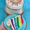 Signature Cakes - Rainbow Fruity Cereal Cake